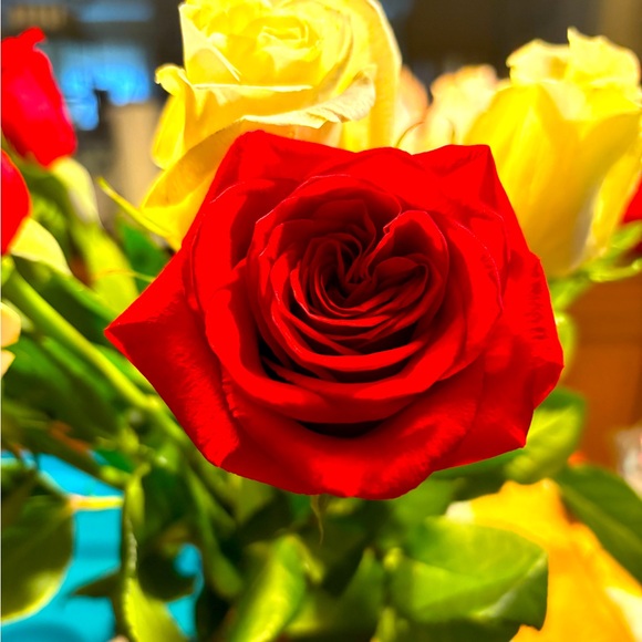 💕🤪 LIVE SHOW LISTING POST  🤪💕 - Picture 2 of 3